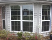 Vinyl Single Hung Window