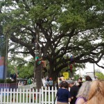 Earth Day Dallas Climbing Tree